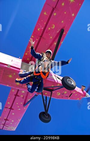 14 août 2010, Évora, Alentejo, Portugal. Deux personnes sautent sur des parachutes reliés les uns aux autres, ce qui est appelé saut en tandem, à partir d'un avion rose. Banque D'Images