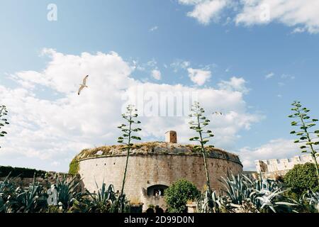 Mariée et marié sont embrasser dans la forteresse d'Arza sur L'île de Mamula Banque D'Images