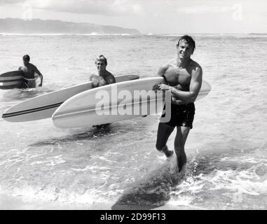 TAB HUNTER à CHEVAL LE SURF SAUVAGE ( 1964 ) par Don Taylor - Columbia Pictures - SURF - SURFER - SURFEURS - CALIFORNIE - PLAGE - BARECHEST --- Archivio GBB Banque D'Images