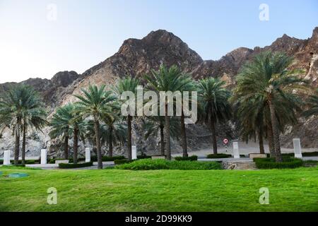 Beaux jardins le long de la corniche de Mutrah à Muscat, Oman. Banque D'Images