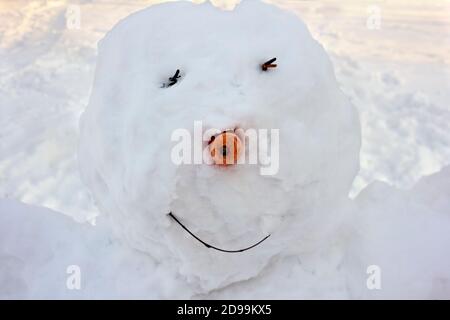 Vue en gros plan de la tête de bonhomme de neige avec un nez de carotte et yeux de brindilles dans un parc d'hiver Banque D'Images