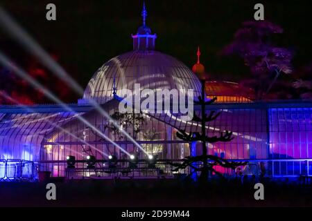 Glasgow, Écosse, Royaume-Uni. 3 novembre 2020. GlassGLOW revient pour sa troisième année pendant la saison d'Halloween aux jardins botaniques. Credit: SKULLY/Alay Live News Banque D'Images