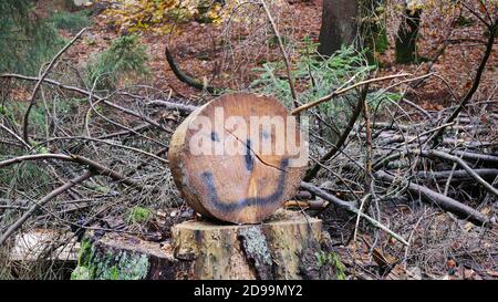 Symbole cynique du changement climatique : au milieu du massacre des forêts dans les montagnes de Taunus en Allemagne, quelqu'un a peint un visage souriant sur un disque d'arbre Banque D'Images