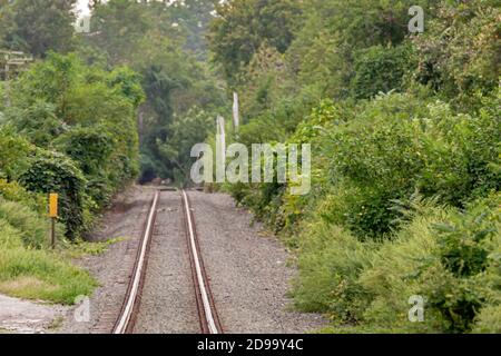 Paysage avec une section du LIRR dans l'est de l'île longue, NY Banque D'Images