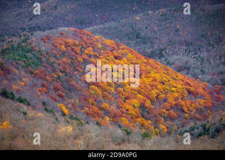 Vue panoramique sur les montagnes Catskills à l'automne depuis le haut de l'éclatement couleurs Banque D'Images