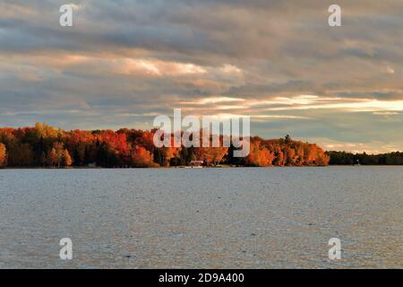 Trout Lake, Michigan, États-Unis. L'automne et le soleil de la fin de l'après-midi descendent sur une bande de rivage le long du lac Trout dans la péninsule supérieure du Michigan. Banque D'Images