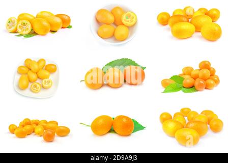 Collage de cumquats sur un fond Banque D'Images