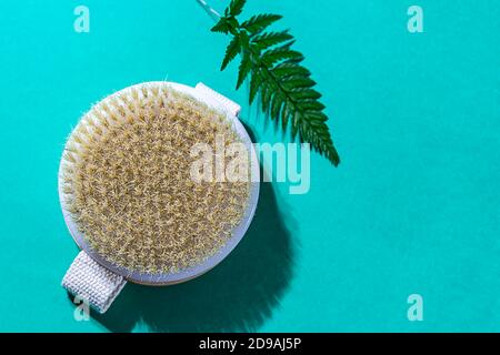 Brosse de massage biologique naturelle en bois, serviette, feuilles de fougères à la lumière naturelle du soleil. Soins à domicile. Banque D'Images