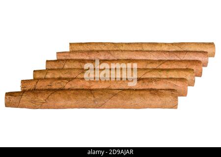 Six cigarillos de tabac isolés sur fond blanc sans ombre. Gros plan, haute résolution. Banque D'Images