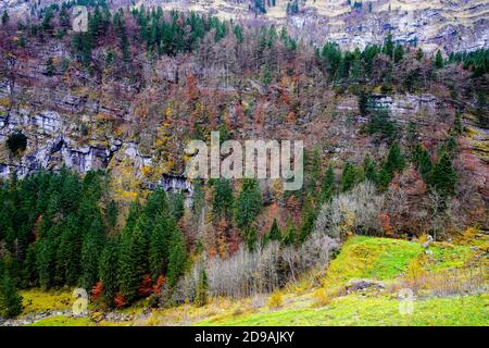 Beau paysage autour du lac Seealpsee dans la gamme Alpstein du canton d'Appenzell Innerrhoden, Suisse. Banque D'Images