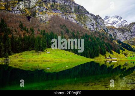 Beau paysage autour du lac Seealpsee dans la gamme Alpstein du canton d'Appenzell Innerrhoden, Suisse. Banque D'Images