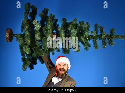 L'homme en costume smart et Santa hat sur fond bleu. Employé avec barbe se prépare pour Noël. Fête du Nouvel An au travail concept. Businessman with excité face porte bald arbre de Noël. Banque D'Images