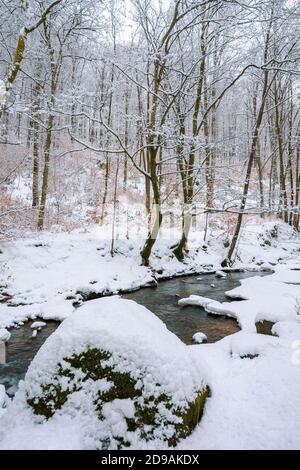 la rivière de montagne traverse la forêt d'hiver. beau paysage avec des arbres dans le givre et les berges couvertes de neige. peu de feuilles en couleur d'automne sur le t Banque D'Images