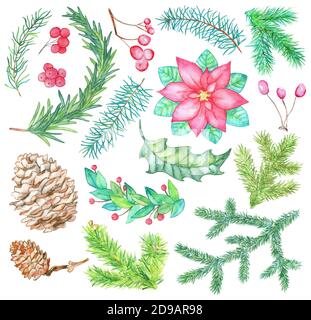 Ensemble botanique de Noël et du nouvel an avec branche de conifères et d'épinette, cône et baie isolés sur blanc. Illustration aquarelle dessinée à la main avec motif Banque D'Images