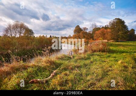 Jour d'automne ensoleillé sur la rivière et la prairie. Paysage coloré avec forêt, champ, lac. Paysage rural d'automne pittoresque. Bélarus Banque D'Images