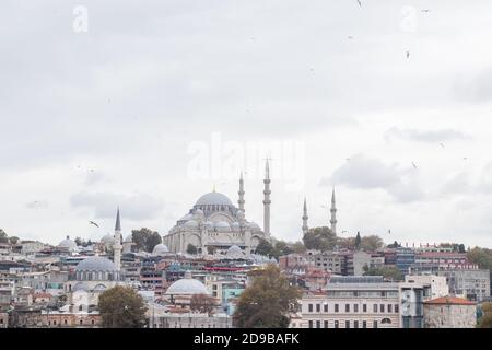 Vue sur le paysage de la ville d'Istanbul. Baie de la corne dorée. Mosquée, mouettes et ferries. Mise au point sélective douce Banque D'Images