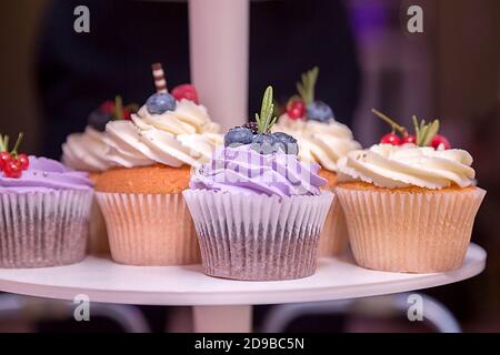 Bleuets sur un gâteau de vacances à la crème de lilas. Un ensemble de délicieux petits gâteaux. Banque D'Images