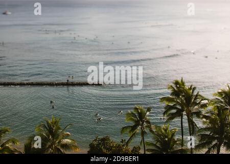 Les surfeurs pagayez jusqu'à la liste au coucher du soleil à Hawaï (objectif à basculement) Banque D'Images