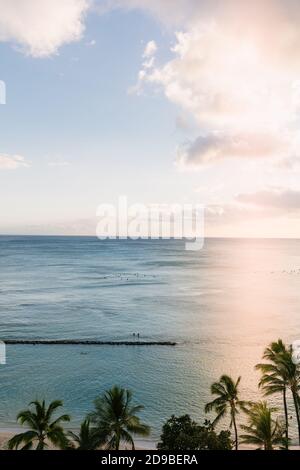 Vue aérienne sur les surfeurs de Waikiki Beach avec palmiers au coucher du soleil Banque D'Images