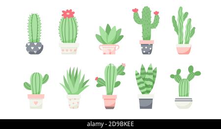 Ensemble de cute cactus et succulents, illustration vectorielle de style plat Illustration de Vecteur