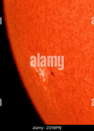 4 novembre 2020. Sunspot AR2781 apparaissant autour du membre sud-est de notre étoile la plus proche, une partie du nouveau cycle solaire 25 et une source potentielle de torches solaires affectant la Terre comme il se déplace à travers la face du soleil au cours de la semaine prochaine. Image photographiée en toute sécurité avec un filtre solaire à hydrogène alpha. Crédit: Malcolm Park/Alay Banque D'Images