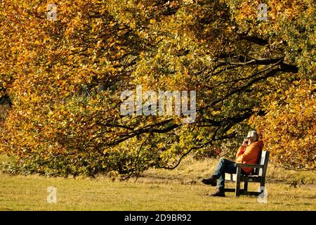 Les gens qui apprécient Hampstead Heath en automne Banque D'Images