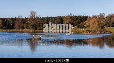 Une vue sur le lac à Hardwick Park, Sedgefield, Co.Durham, Angleterre, Royaume-Uni avec le Siège gothique folie par James Paine en arrière-plan Banque D'Images