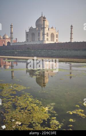 Agra, Inde, janvier 2009. Vue générale du Taj Mahal et de sa réflexion dans l'eau sur l'autre rive de la rivière Yamuna. Banque D'Images