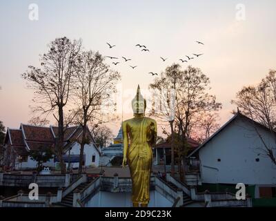 Nan / Thaïlande -février 2020 : Wat Phra que temple Khao Noi dans le nord de la Thaïlande avec une grande statue de Bouddha debout d'or sur la vue de la ville fr Banque D'Images