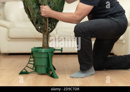 Homme installant un arbre de Noël dans un support en plastique à La maison à la veille du nouvel an Banque D'Images