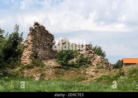 Porc dans un nid construit sur un pilier haut Banque D'Images