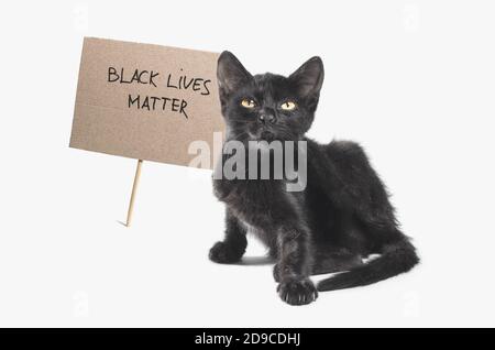 chat noir avec le texte noir vies matter sur blanc arrière-plan isolé Banque D'Images