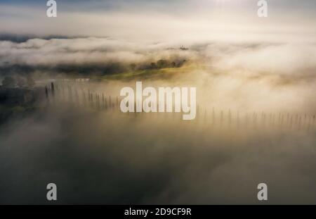 La ruelle des cyprès sur le couvert de prairies et de champs de nuages a tiré au début de la matinée brumeuse. Au-dessus des nuages vue aérienne de dessus magnifique SH Banque D'Images