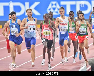 Timothy Cheruiyot, Josh Kerr, Ben Blankenship, Filip Ingebrigtsen, Abdelaati Iguider. chauffe de 1500 mètres. Championnats du monde d'athlétisme de l'IAAF, Doha 2019 Banque D'Images