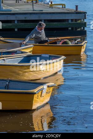 un homme plus âgé ou à la retraite aviron un petit bateau jaune et venant le long d'une jetée dans une marina ou un port. Banque D'Images