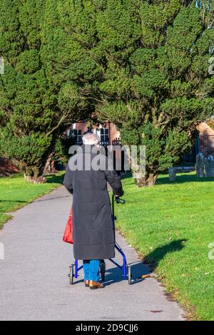 une dame âgée marchant à l'aide d'un cadre zimmer dans un parc en automne. Banque D'Images