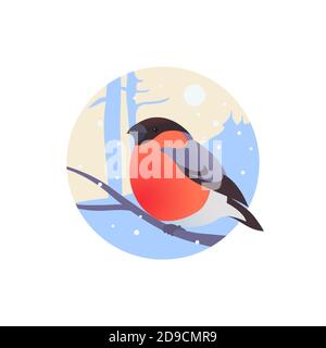 Bullfinch sur une branche dans un cercle. Avatar style plat. Illustration vectorielle Illustration de Vecteur