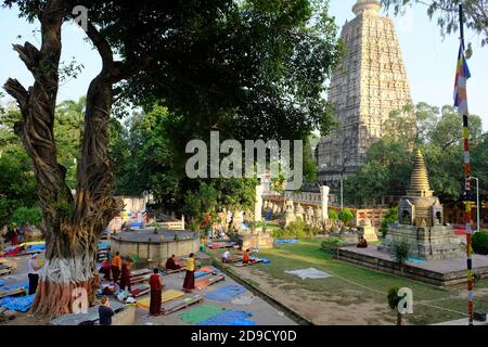 Inde Bodh Gaya - Mahabodhi Temple complexe vue avec prier des moines Banque D'Images