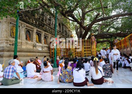 Inde Bodh Gaya - Mahabodhi Temple complexe sacré arbre Bodhi Bodh gaya Bihar Banque D'Images