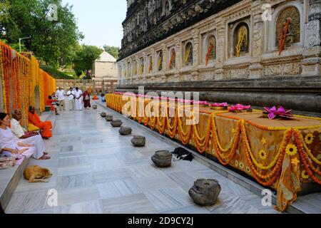 Inde Bodh Gaya - Mahabodhi Temple complexe marchant autour de chemin Du Temple principal Banque D'Images