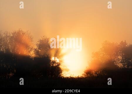 Lever du soleil, brouillard, prairie et champ, Midwestern USA, par Dominique Braud/Dembinsky photo Assoc Banque D'Images