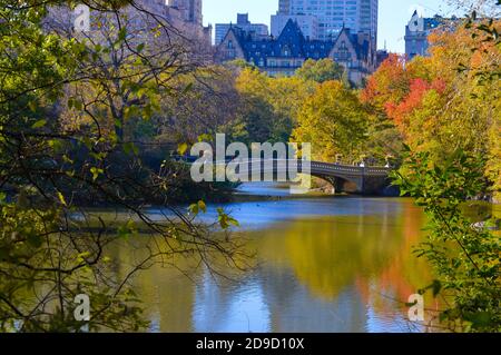 Feuillage d'automne à Central Park à New York le 4 novembre 2020. Banque D'Images