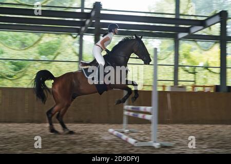 Monter un cheval saut barrière barre jeune femme Banque D'Images