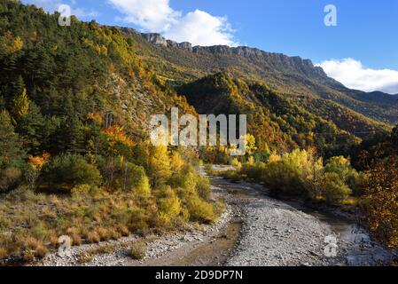 Couleurs d'automne dans la vallée de l'Asse de Blieux Parc régional de la gorge du Verdon ou réserve naturelle Alpes-de-haute-Provence Provence France Banque D'Images