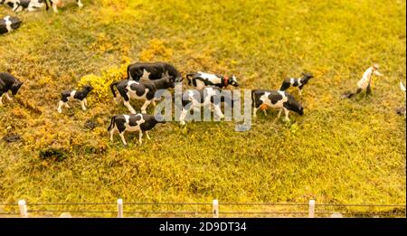 Troupeau de vaches jouets miniatures sur un paysage de prairie agricole. Vache miniature de ferme avec veaux alignés sur fond vert Banque D'Images
