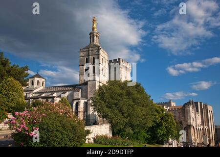 Géographie / Voyage, France, Avignon, Palais Papal à Avignon, droits-supplémentaires-autorisations-Info-non-disponible Banque D'Images