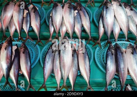 Poisson frais au marché aux poissons de Jagalchi, Busan, Corée Banque D'Images