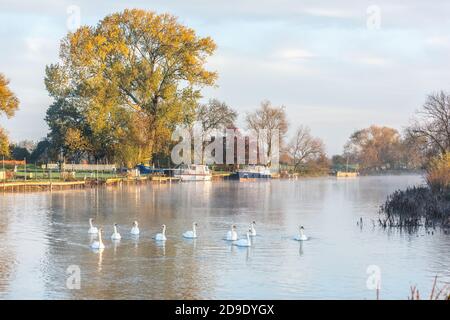 Sur Cambridgeshire, Royaume-Uni. 5 novembre 2020. Nagé sur la rivière Great Ouse dans la brume matinale lors d'un matin d'automne glacial. Crédit : Julian Eales/Alay Live News Banque D'Images