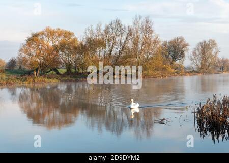 Sur Cambridgeshire, Royaume-Uni. 5 novembre 2020. Nagé sur la rivière Great Ouse dans la brume matinale lors d'un matin d'automne glacial. Crédit : Julian Eales/Alay Live News Banque D'Images