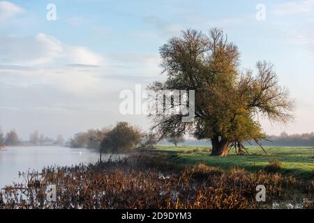 Sur Cambridgeshire, Royaume-Uni. 5 novembre 2020. Nagé sur la rivière Great Ouse dans la brume matinale lors d'un matin d'automne glacial. Crédit : Julian Eales/Alay Live News Banque D'Images